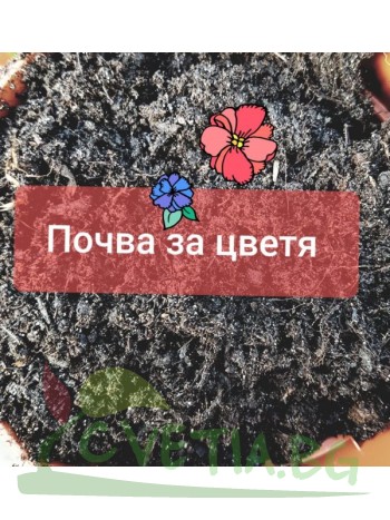 Почва за цветя 